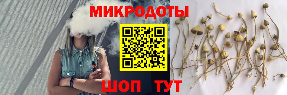 Псилоцибиновые грибы Psilocybe Белогорск